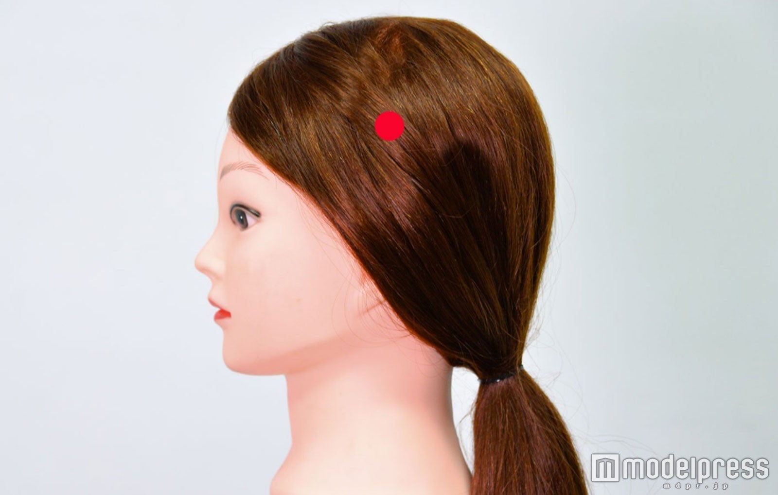 耳上から指4本上（C）モデルプレス