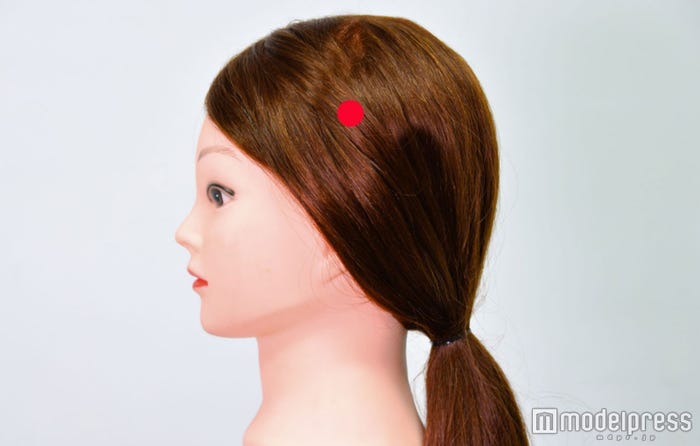 耳上から指4本上(C)モデルプレス