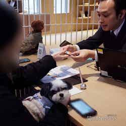 RETONA HAKONE(C)モデルプレス