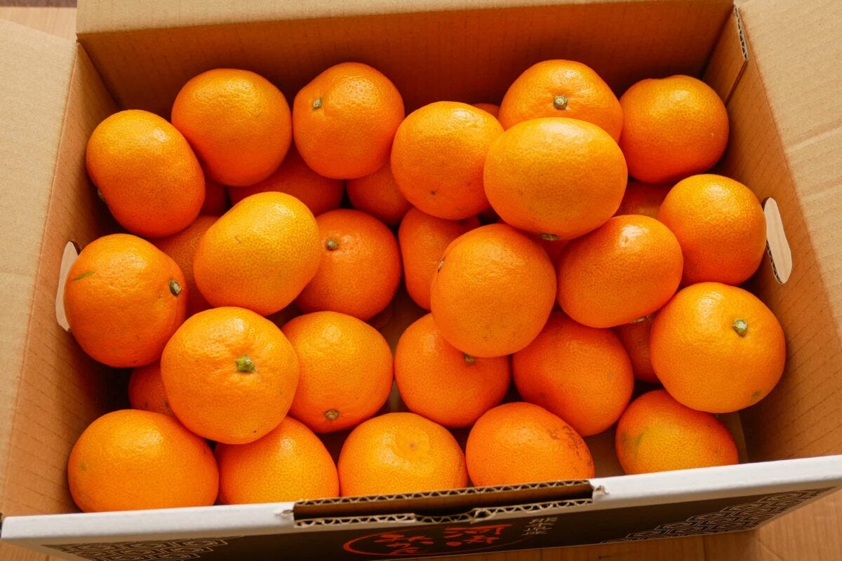 イオン・ブラックフライデー2023