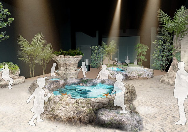 DMMかりゆし水族館／画像提供：DMM.com