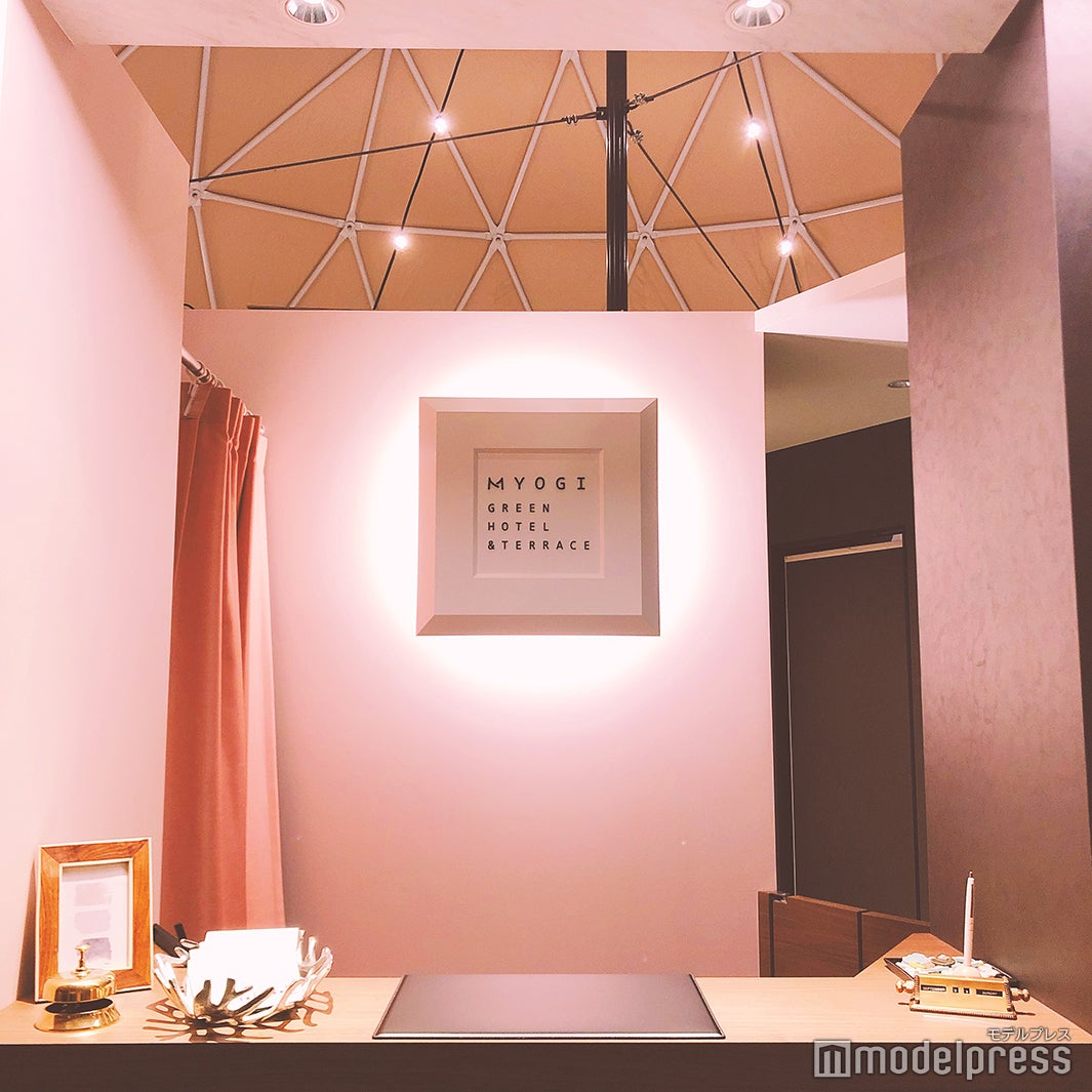 レセプション（C）モデルプレス