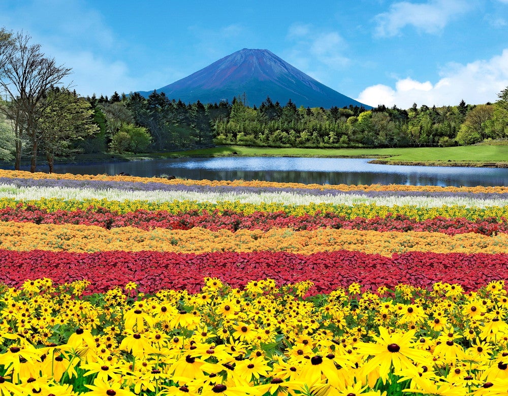 虹の花まつり／画像提供：富士急行