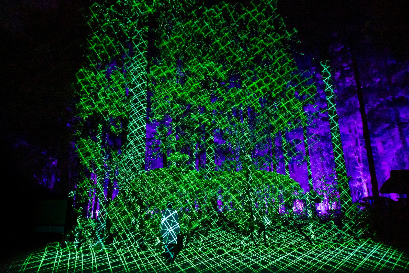 チームラボ 偕楽園 光の祭／画像提供：チームラボ