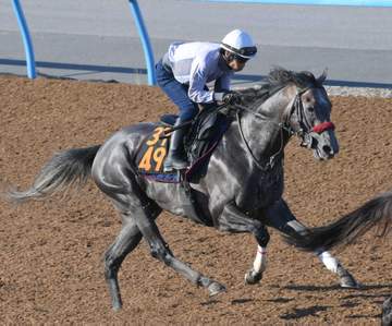 【ラジオNIKKEI賞】リッツパーティー 狙う重賞初挑戦初V 岩戸師「機動力があるから福島コースも向いている」