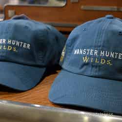 (C)モデルプレス