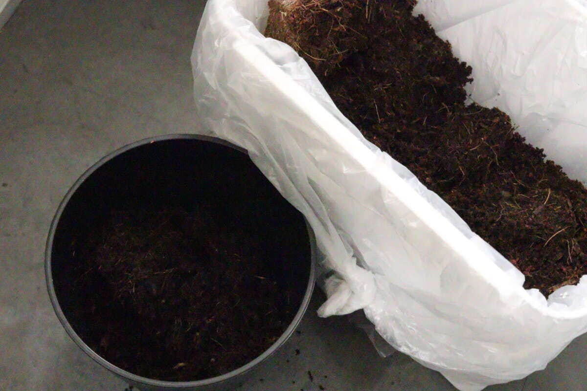 ダイソー　水で増える園芸土