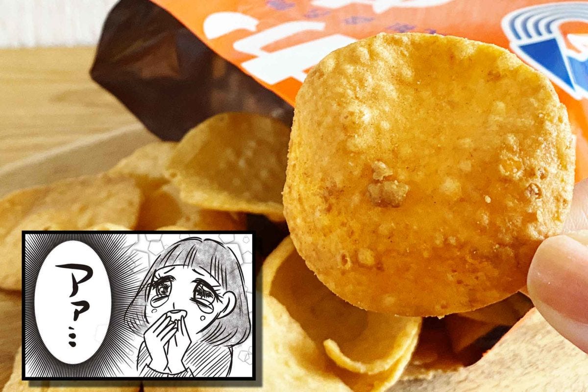 いかめしポテトチップス