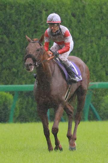 【宝塚記念】ダノンデサイル 追い込み3着 4戦連続のG1.3着 戸崎圭は高評価「最後はいい脚を使っている」