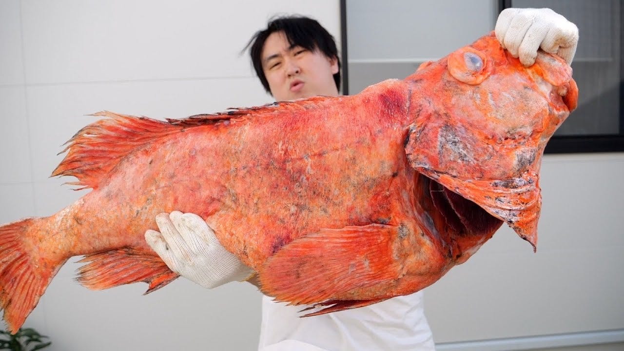 100年以上生きたかも きまぐれクック 巨大魚を捌く モデルプレス