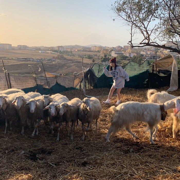 たくさんのアグリジェントヤギたちと追いかけっこする与田祐希/オフショット(画像提供:光文社)