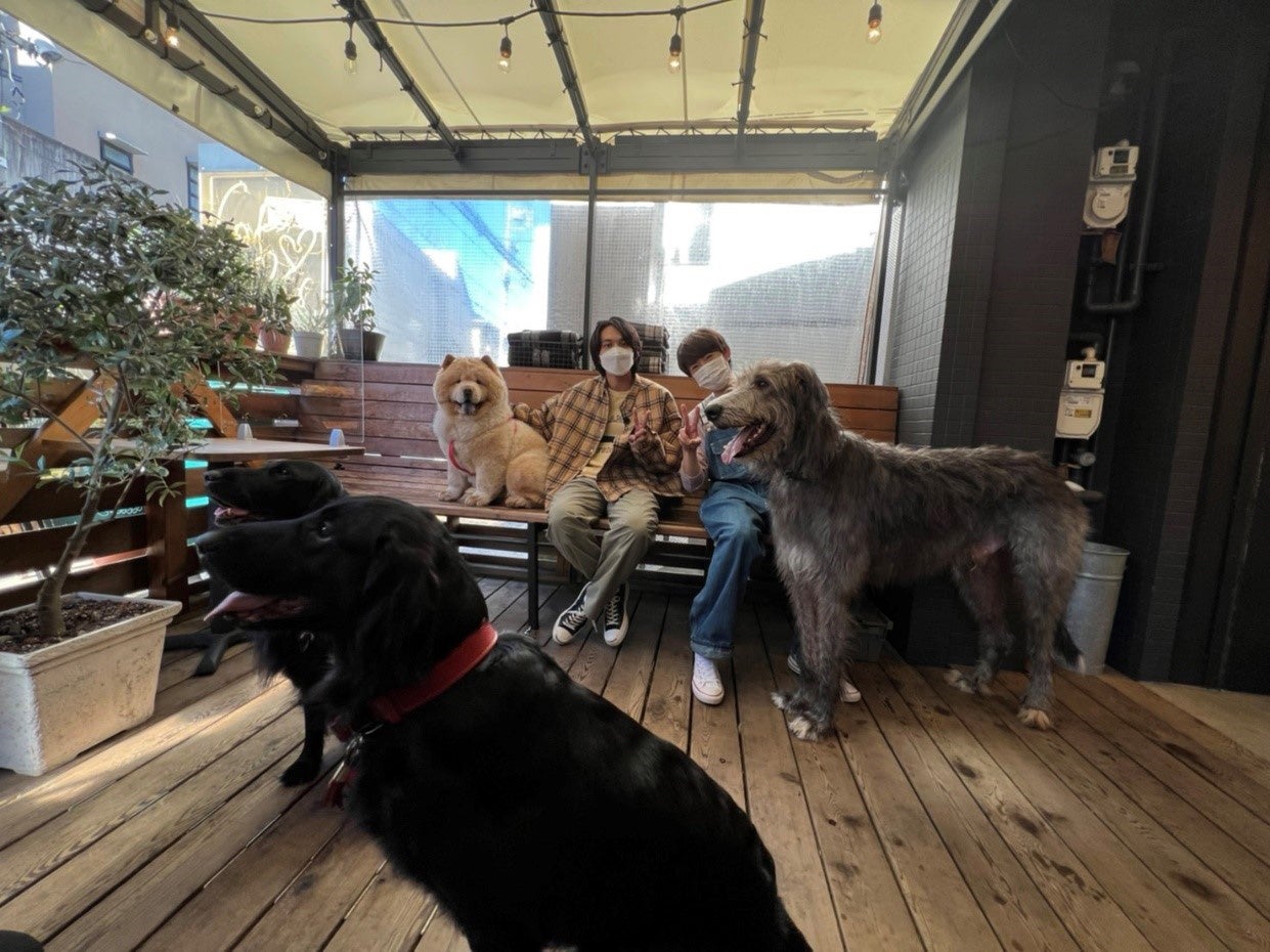 北村匠海、相葉雅紀と珍犬種のお散歩へ「I LOVE みんなのどうぶつ園」初登場