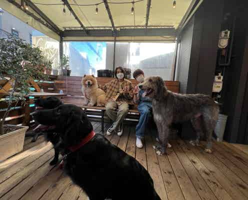 北村匠海、相葉雅紀と珍犬種のお散歩へ「I LOVE みんなのどうぶつ園」初登場