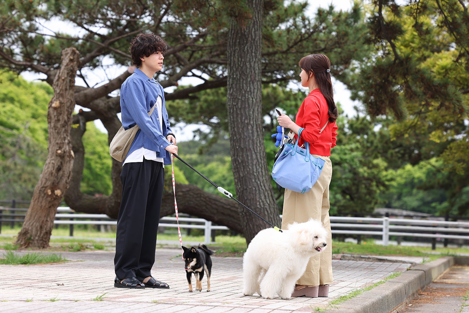 成田凌、清原果耶「初恋DOGs」第2話（C）TBS