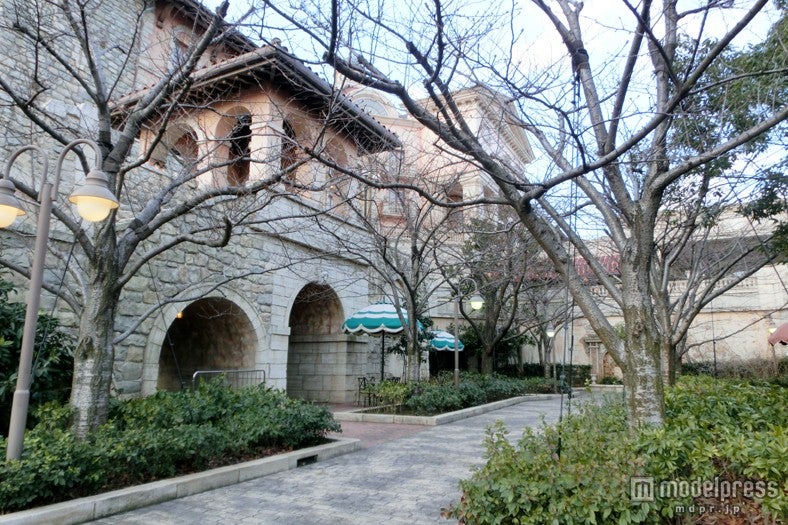 TDS「ピクニックエリア」