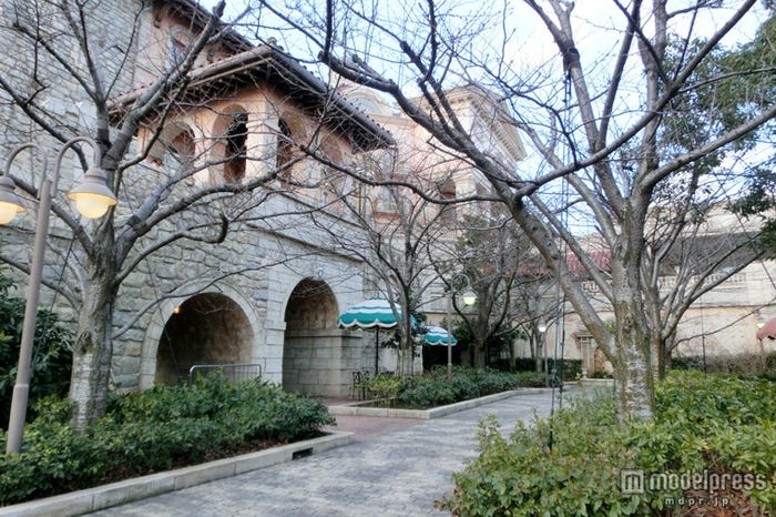 TDS「ピクニックエリア」