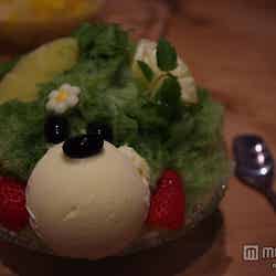 「ジャパニーズアイス櫻花」の「くまちゃんかき氷」620円/photo by Saku Takakusaki