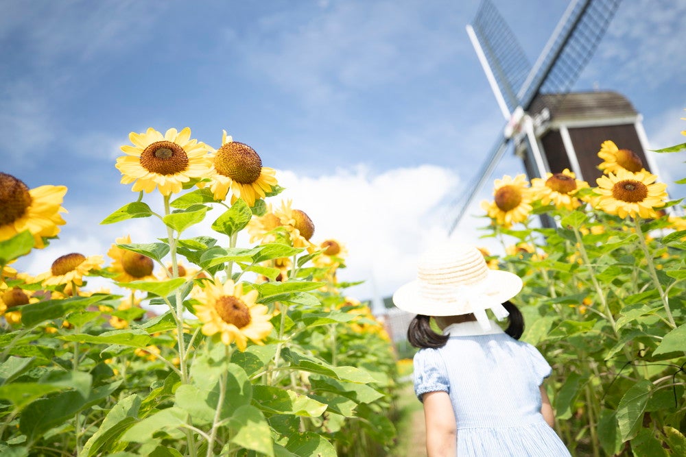 サマーフェスティバル～光の街の夏祭り～／画像提供：ハウステンボス
