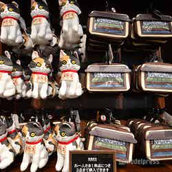 (C)モデルプレス