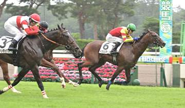 【新馬戦】トウシンマジック 断然1番人気のダノンダックス撃破 コレット「すごくいい脚、いい走り」