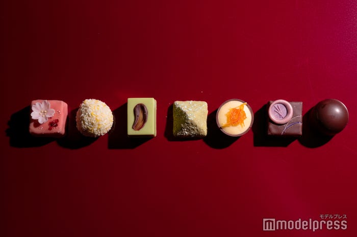 「匿名の恋人たち」レインボーパレット