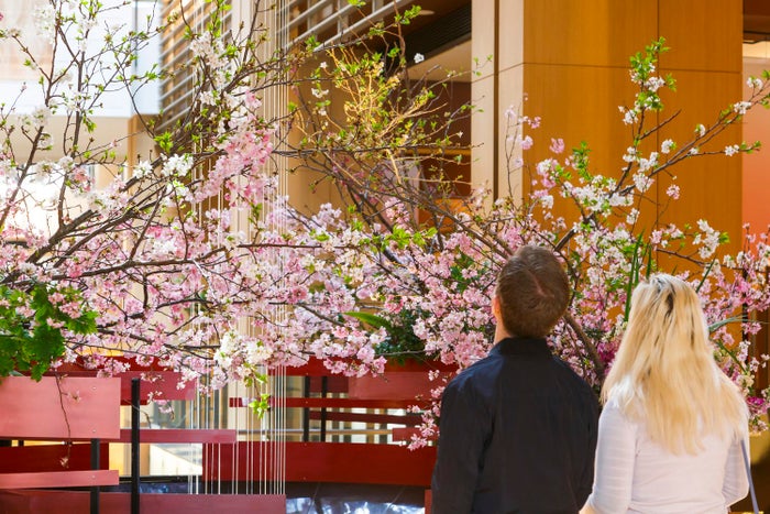 スプリング フラワー ディスプレイ(昨年の様子)/画像提供:東京ミッドタウンマネジメント株式会社