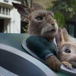“悪”に染まる?『ピーターラビット』続編が5月公開、予告編お披露目