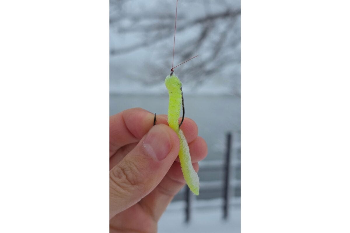 枝に垂れた釣り針