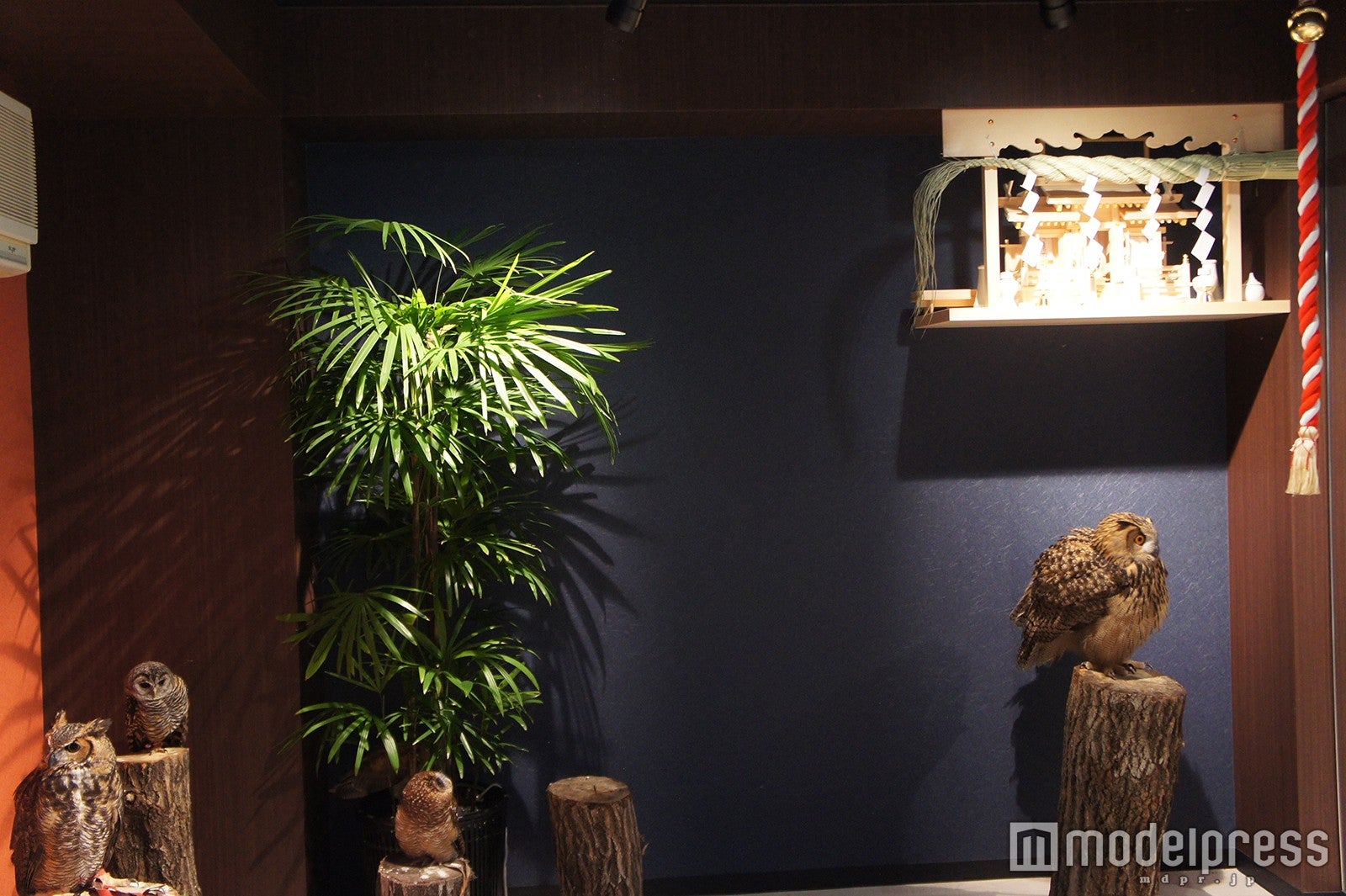 鳥居や神棚も設置／画像提供：ナックス