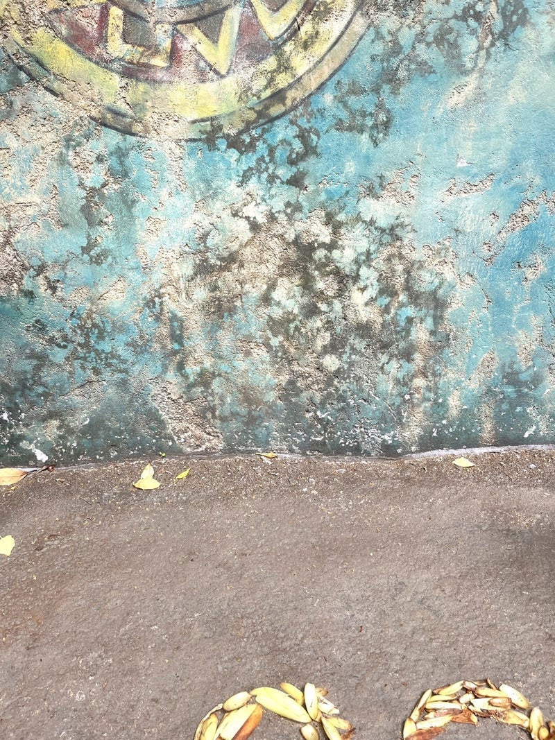 東貴博公式ブログより