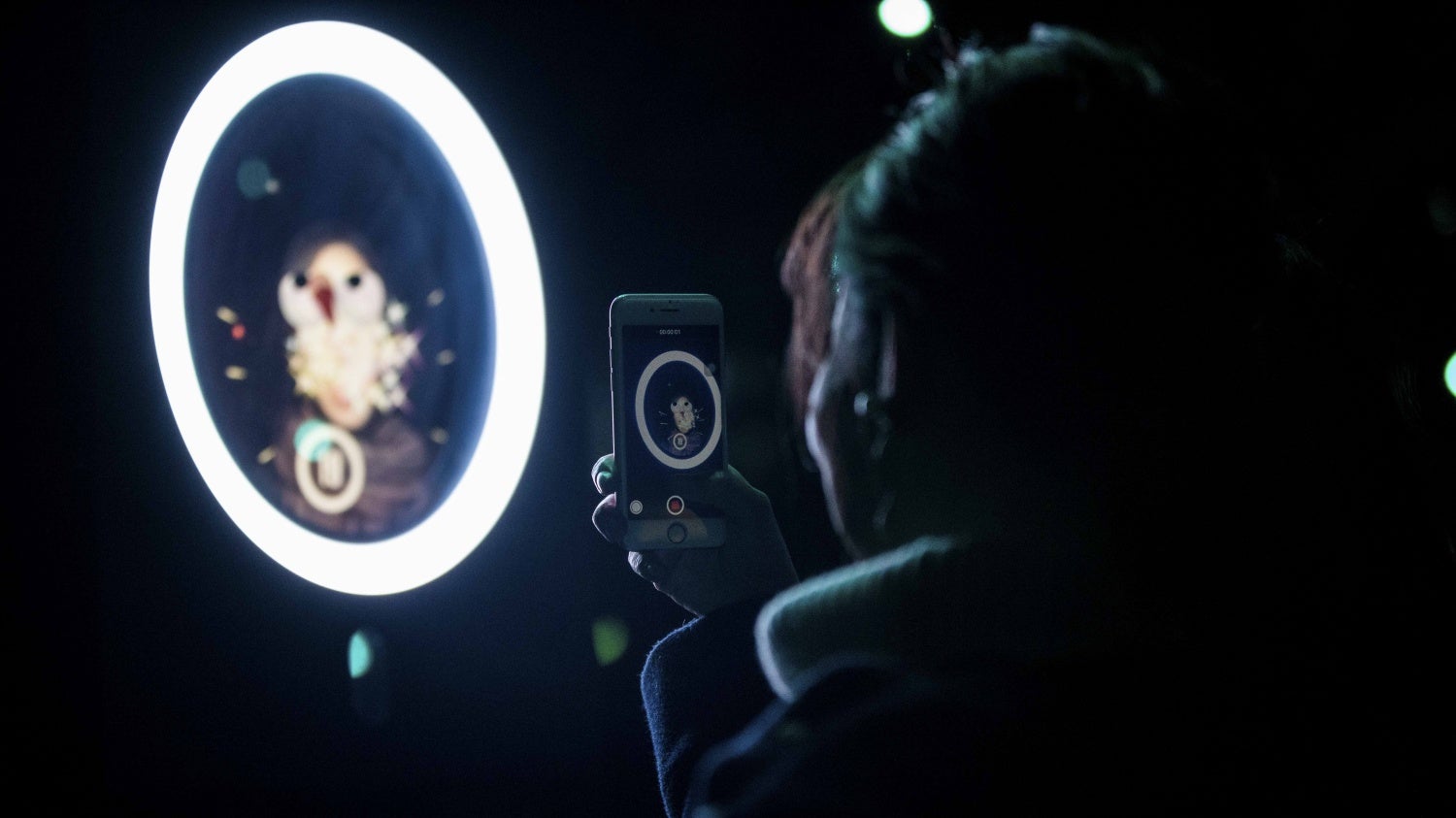 サクヤルミナ（C）SAKUYA LUMINA