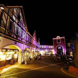 「光の森」が幻想的すぎる!新神戸から10分、夏の夜にゴンドラで迷い込む/画像提供:神戸布引ハーブ園