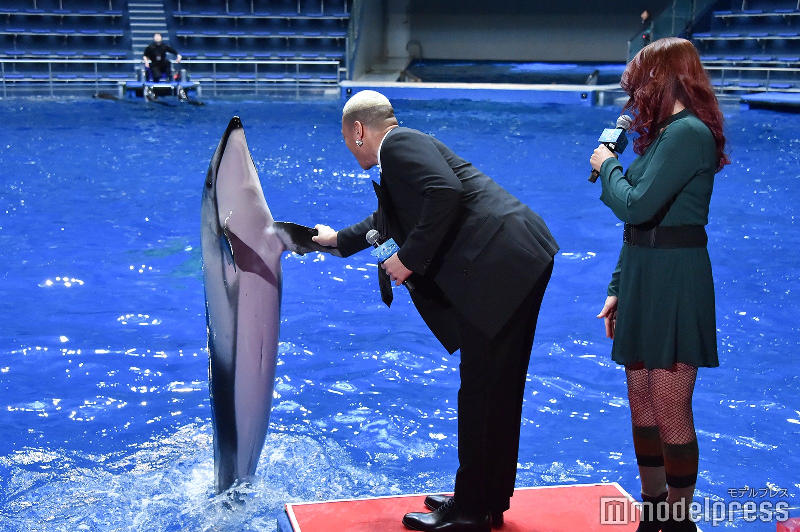 関口メンディー（中央）、イルカと握手 （C）モデルプレス