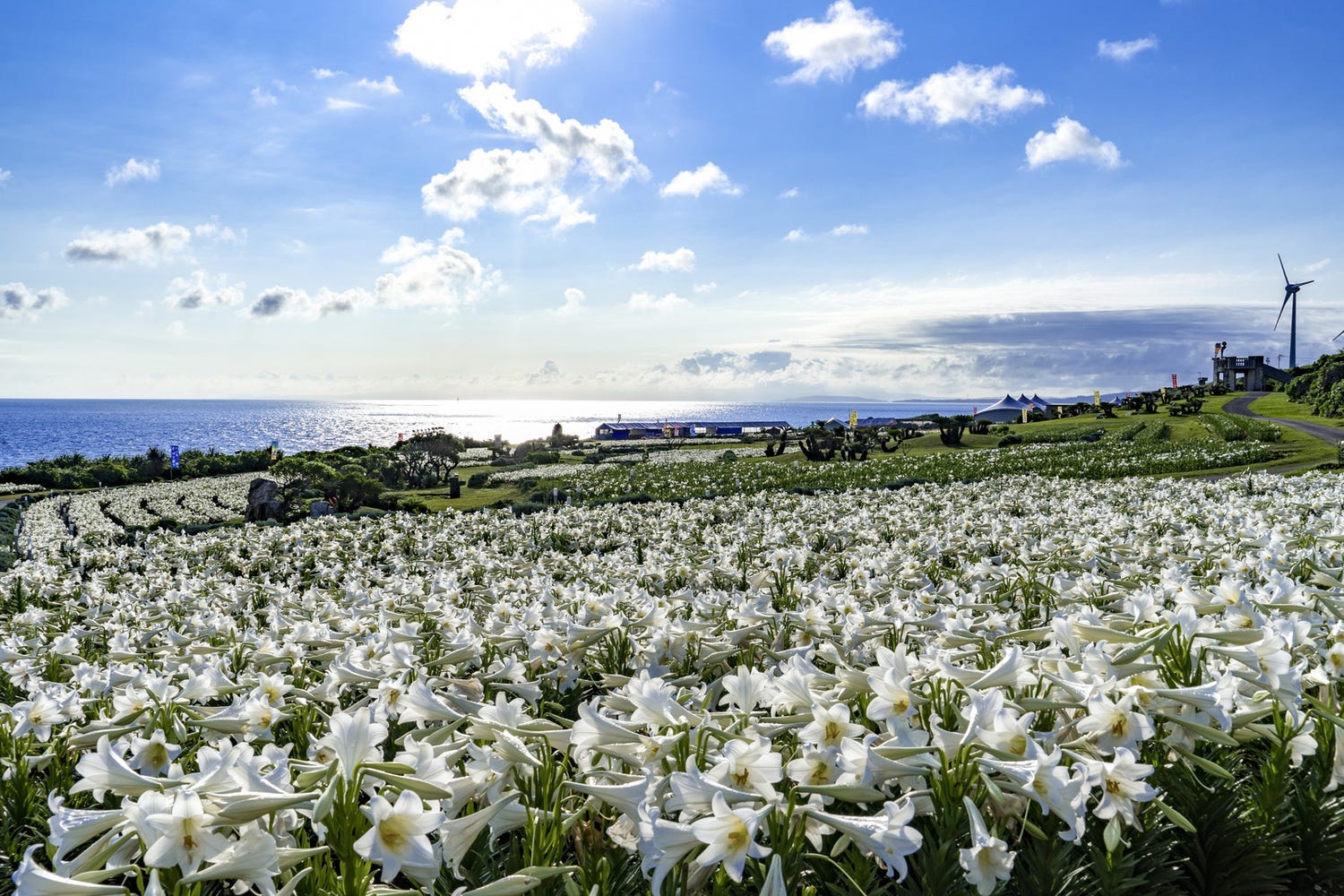 次の旅はここに決まり!全国のおすすめ絶景スポットで心震える感動を!