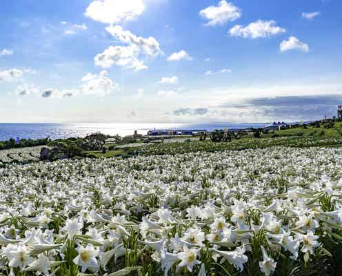 次の旅はここに決まり!全国のおすすめ絶景スポットで心震える感動を!