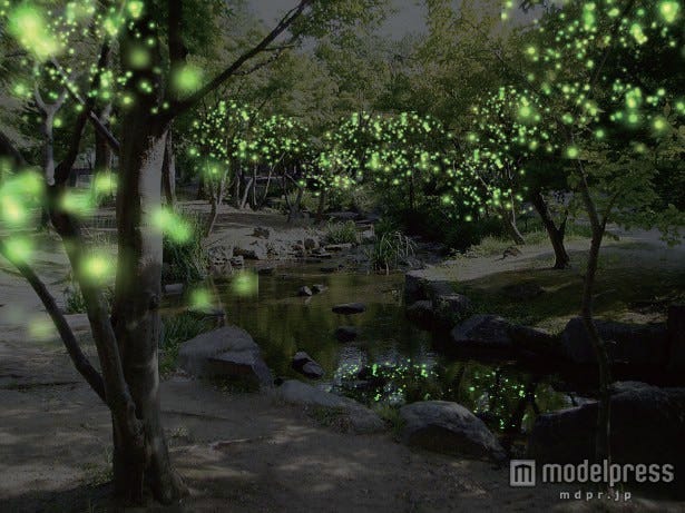 幻想的な冬蛍の光をイメージ 京都でLED2万超のライトアップ初開催