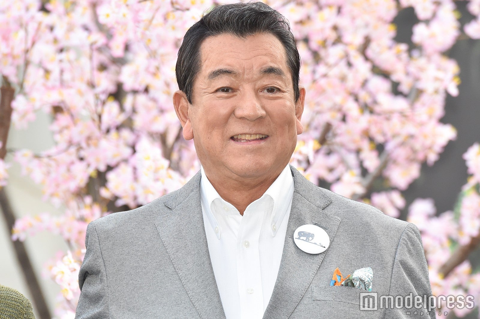 加山雄三（C）モデルプレス