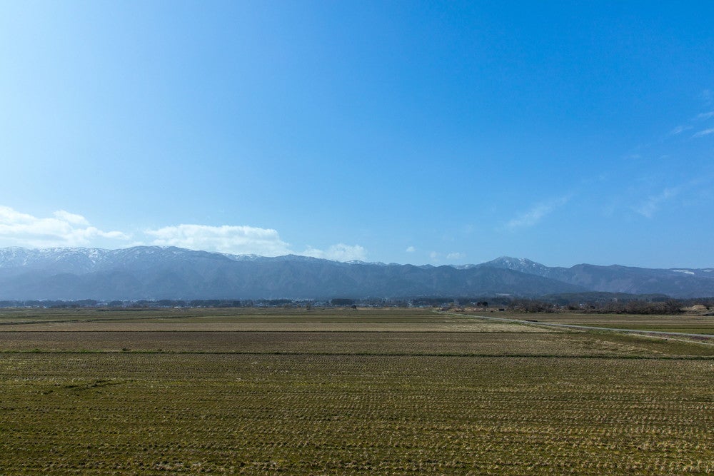 NIPPONIA 白鷹 源内邸／画像提供：ukitam