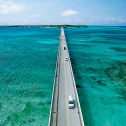 秋の行楽シーズン迫る!ドライブ旅行前に見落としがちな注意点って?