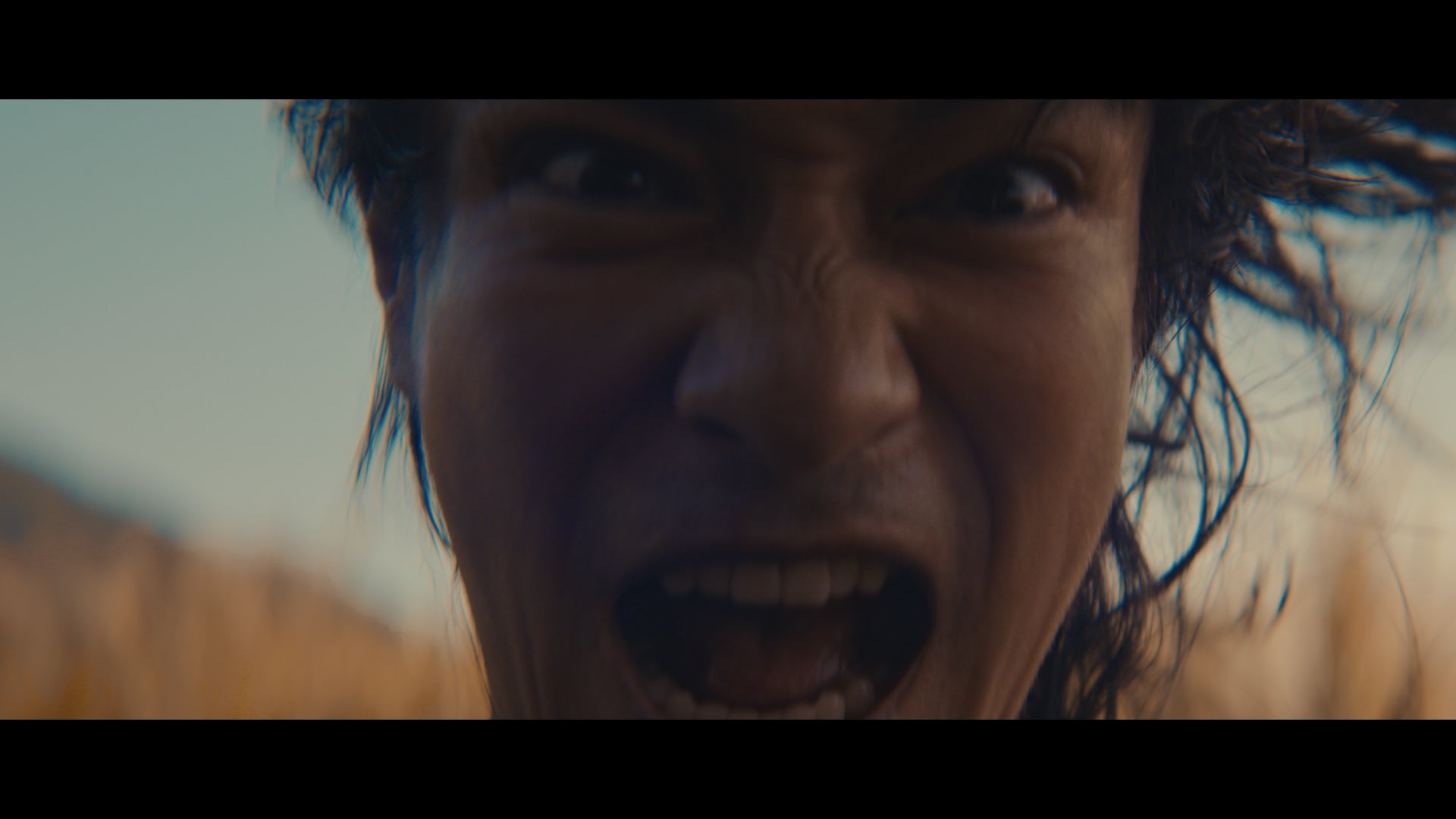 堺雅人（提供写真）