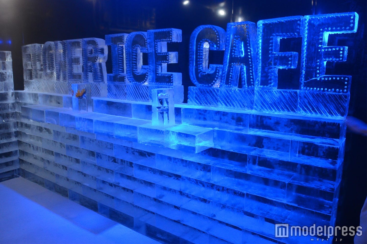 -10℃の極寒氷漬けカフェ!幻想的な氷の世界「フラワーアイスカフェ」でお茶してみた
