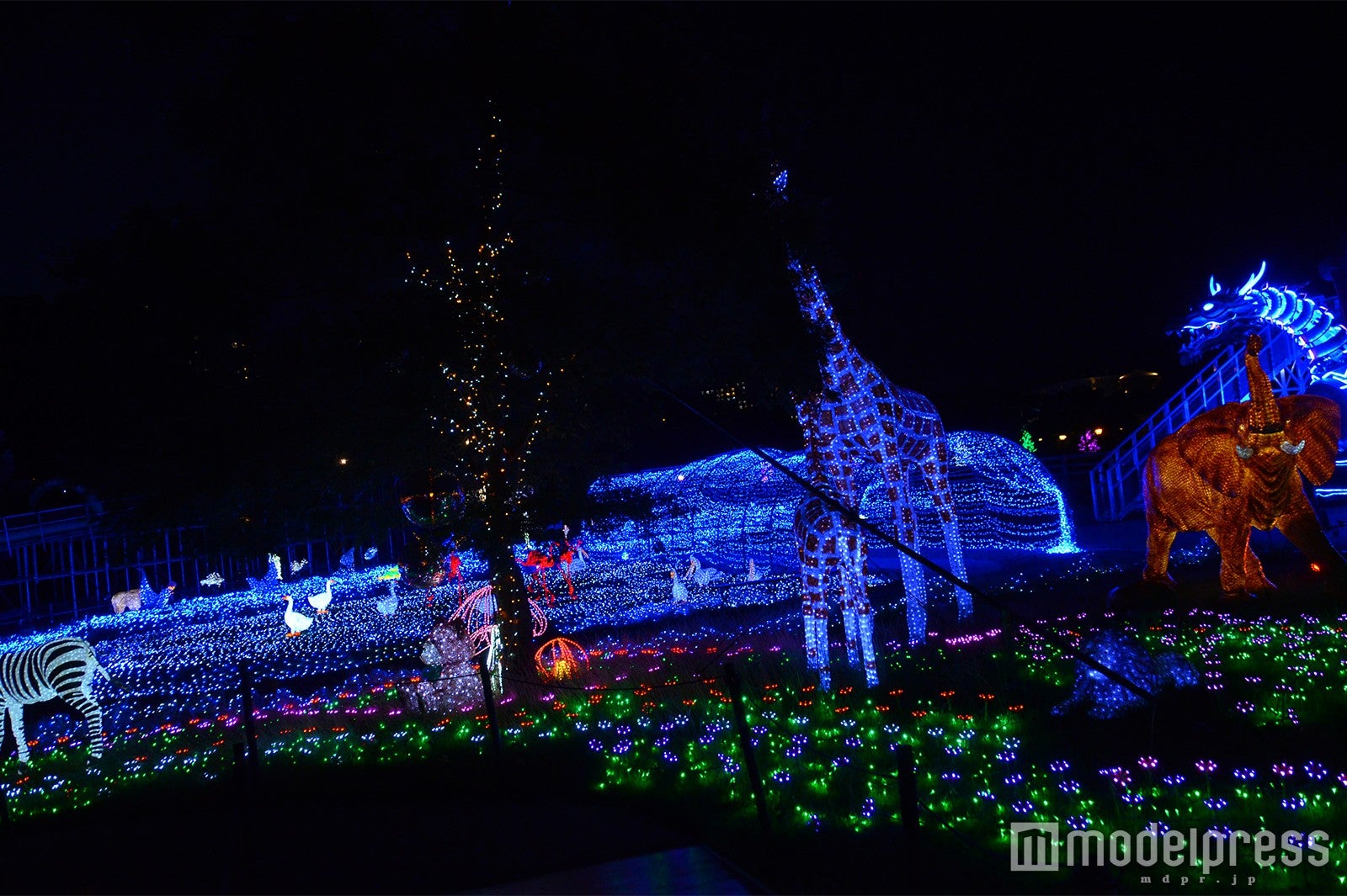 プールエリアの脇に広がるイルミネーションエリア （C）モデルプレス
