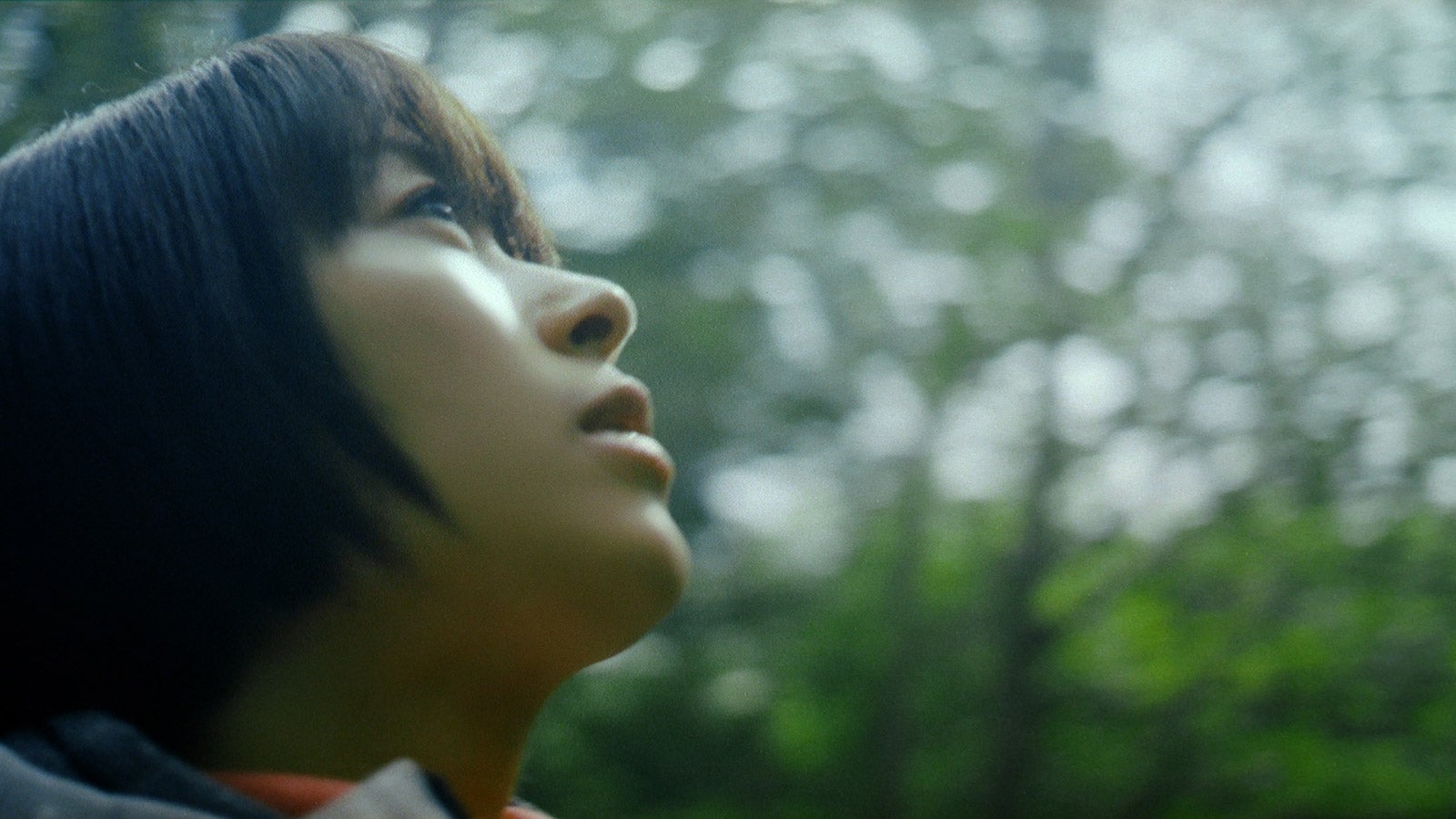 宇多田ヒカル出演「水の山行ってきた 奥大山」篇より（提供写真）