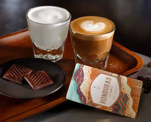 スタバ、レモンと風味豊かな豆が織りなす新ドリンク登場 新たなコーヒーの楽しみ方