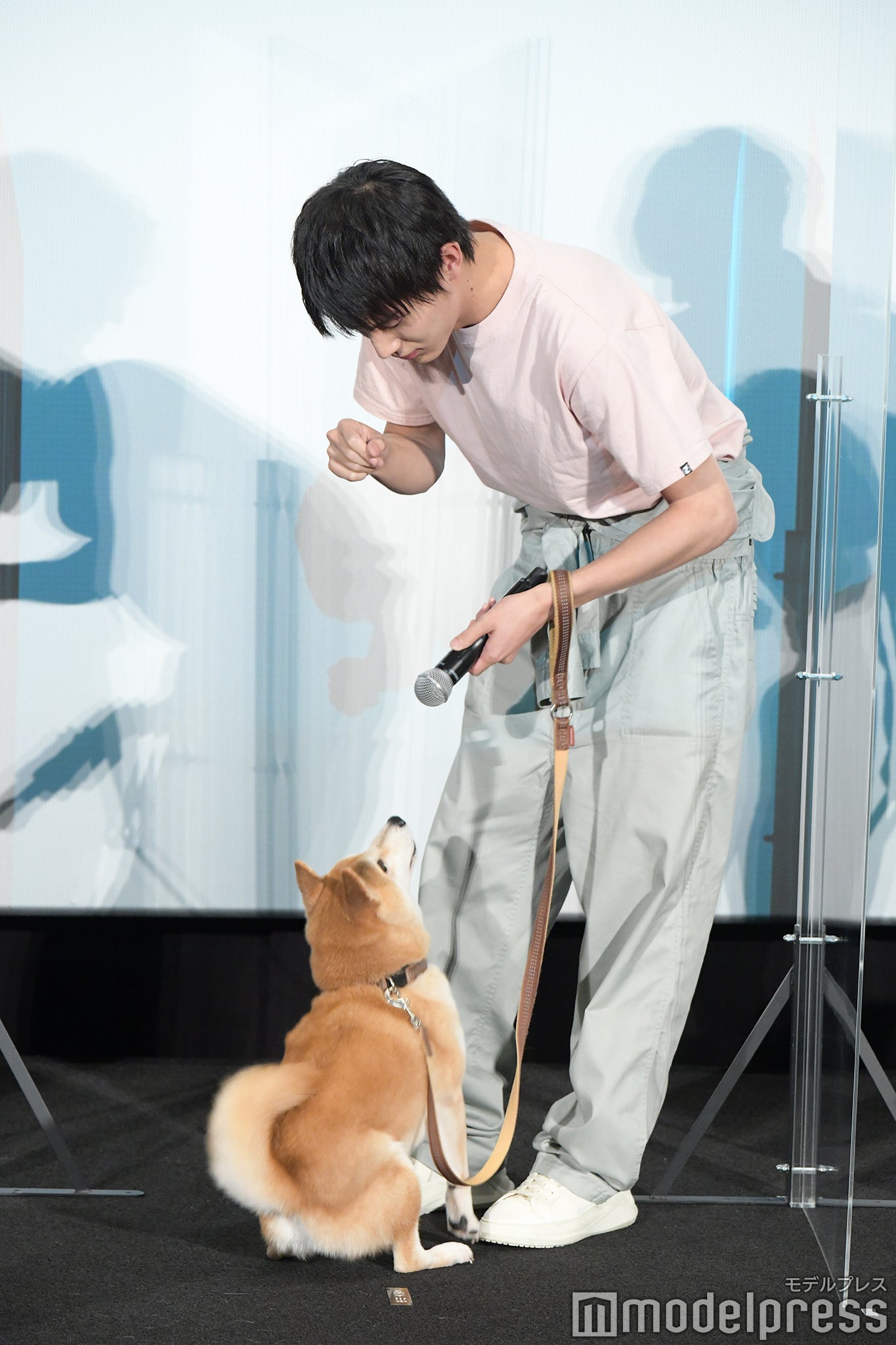 中川大志 （C）モデルプレス
