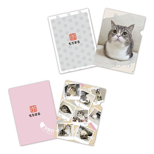 もちまるカフェ in SHIBUYA／提供画像