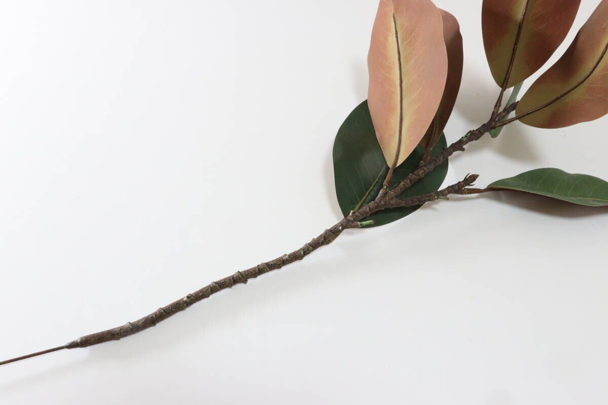 観葉植物　枝　フェイクグリーン　飾り方