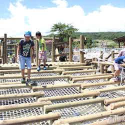 丸太ハラハラ/画像提供:富士急行