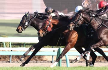 【オーシャンS】ペアポルックス 鮮やかイン突きV 昨年2着からリベンジ成功に岩田康「最後は腹をくくって、末脚を信じた」