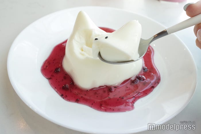 (C)モデルプレス